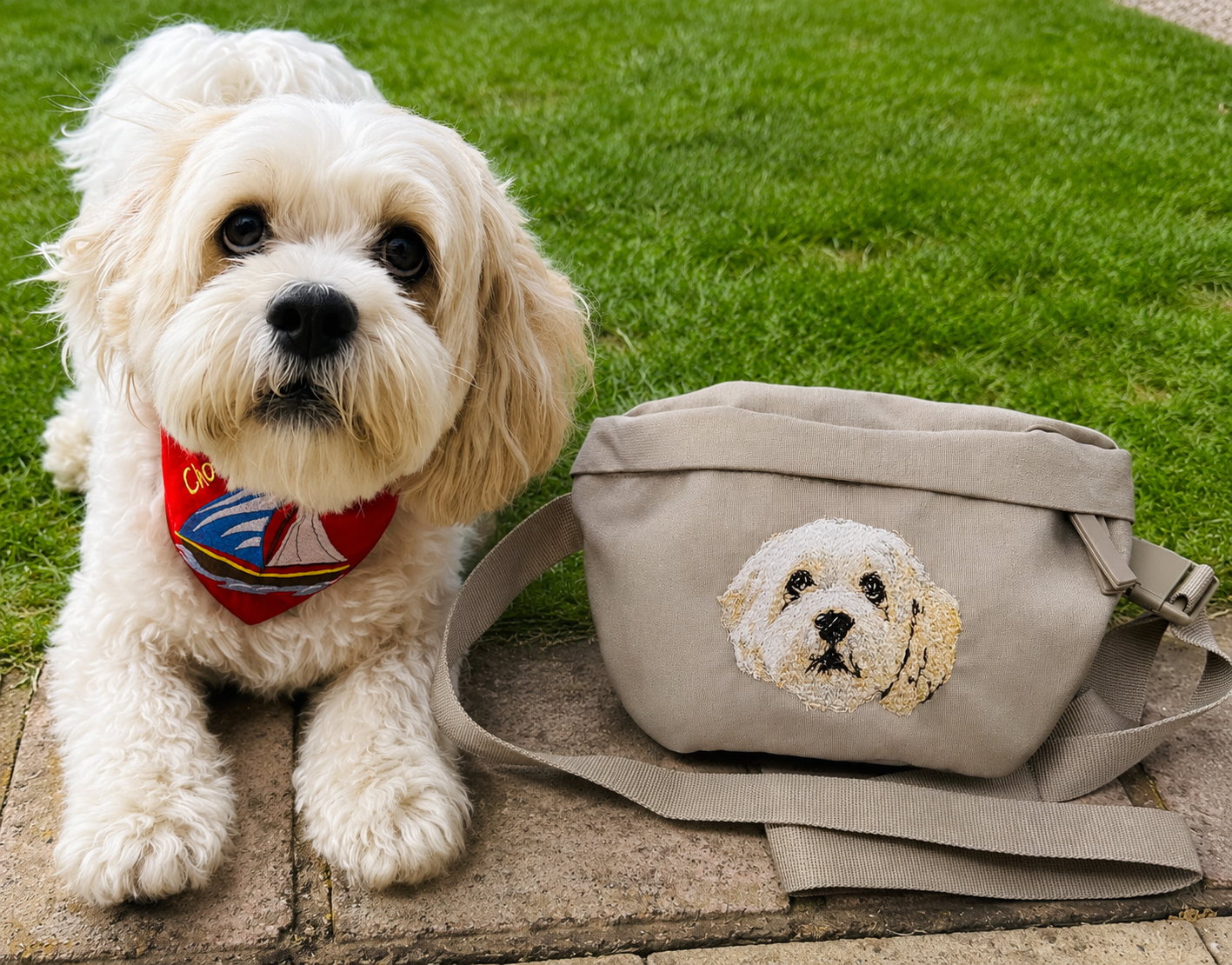 One Pet Personalised Embroidered Waist Bag / Cross Body Bag